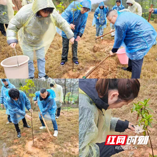 QQ20260401-164028.png QQ20260401-164028.png