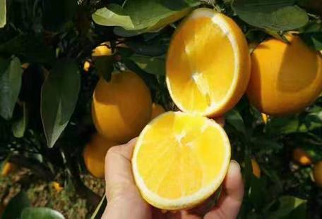 C:\Documents and Settings\Administrator\桌面\图片\图片4.png图片4