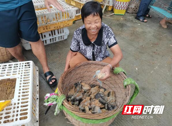 QQ截图20240802141620.jpg